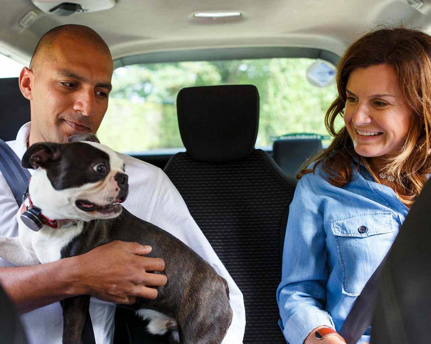 Los perros en los viajes en Uber